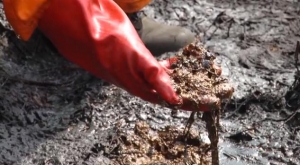 Shells Niger Delta Oil Spill Data Allegedly Manipulated