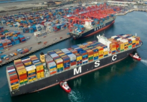 Report: MSC and HMM Jointly Bid for Hanjins Stake in Long Beach Terminal