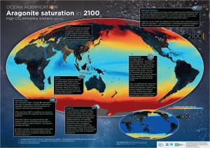 Report: Ocean Acidity is Increasing ... Rapidly