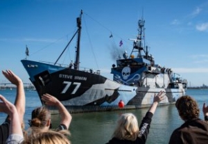 Sea Shepherd Ships Set Sail on Whale Defense Campaign