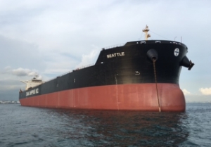 Diana Inks Charter Deal for Capesize Bulker