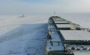 Two Ice Class Bulker Newbuildings Join Pangaeas Fleet