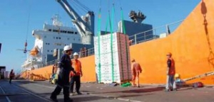 Spanish Dockworkers Cancel Strikes to Resume Talks