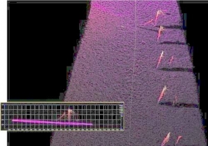 Kongsberg Demonstrate Powerful Compact Multi-beam Sonar