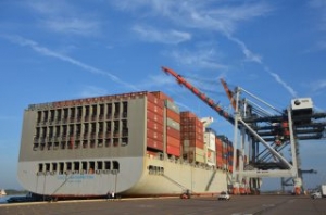 JAXPORT Sees 13 Pct Rise in Asian Container Volumes