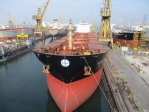 Dianas Board Clears Purchase of Three Vessels