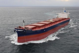 GOGL Expands Fleet with Dry Bulk Pair