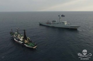 Sea Shepherd Seeks EU Action Against Denmarks Whale Killing