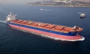 Two More Bulkers Join GOGLs Fleet