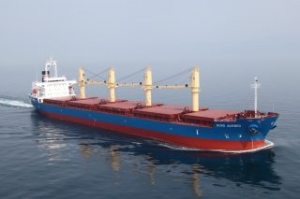 Bulker Crewman Dies in Berthing Accident in Quebec
