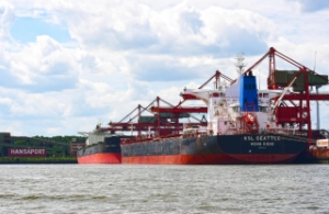 Throughput Rises at Port of Hamburg as Bulk Cargo Shines