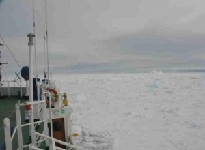 Akademik Shokalskiy and Xue Long Managed to Break Free from Heavy Ice in Antarctica