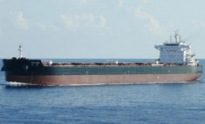 Bulker Grounds at Brazils Port of Santos