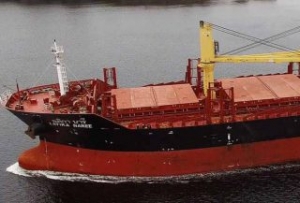 Precious Shipping Cancels Final Taizhou Sanfu Order