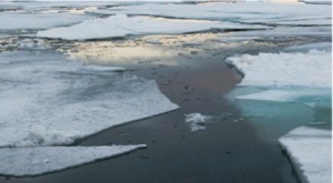 China to Industrialize Sea Ice Desalination Technology