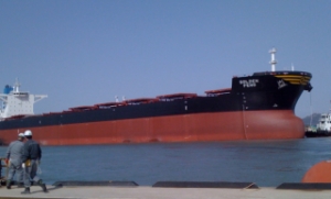 Panamax Bulker Joins Golden Oceans Fleet