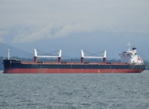 JP Morgan Tied to Bulker Purchase