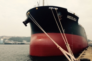 Diana Shipping Charters Bulker Trio at Higher Rates