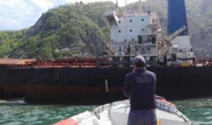 PROFEPA: Oil Still Leaking from Grounded Los Llanitos Bulker