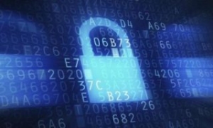 SeaIntel: Impact of Cyber Attack on APM Terminals Quite Muted