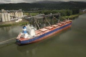 GOGL Takes Over Final Quintana Bulker