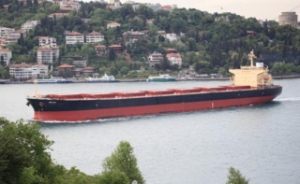 Diana Shippings Vessel Grounds off Indonesia