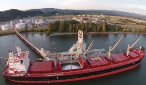 MBTL a Step Closer to Coal Export Terminal in Cowlitz