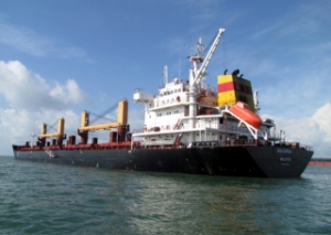 Report: Navibulgar Orders Four New Bulkers