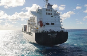 Salvors Start Removing Boxes from Grounded Kea Trader