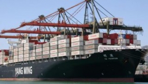 Yang Ming Narrows Loss in 2017
