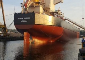 Songa Bulk Adds Second-Hand Kamsarmax