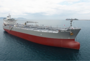 Top Ships Investigated over Kalani Share Issuance Scheme