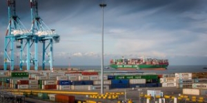 APM Terminals to Sell Zeebrugge Terminal Share to Cosco
