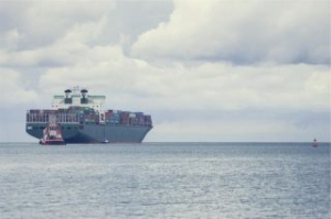 Shipping Sector Sailing in a Changing Climate