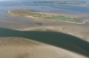 Conference to Focus on Aquatic Particles