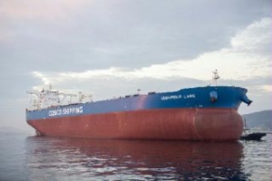 DEME Tries to Seize Vessel from LaNaval