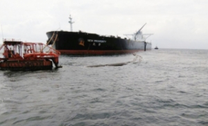 Indias Paradip Port Receives 1st Cargo of Crude Oil from the US