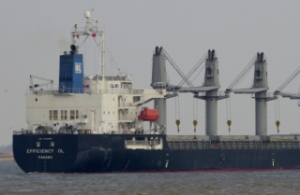 Seafarer Electrocuted aboard Bulker in Australian Port