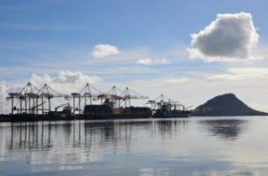 Boxship Carries Dead Whale into New Zealand Harbour