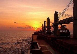 Scorpio Bulkers Enters Charter-In Agreements for Five Vessels