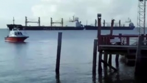 Bulkers Crash in Brazil