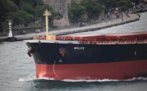 Diana Sends Bulker Grounded in July to Scrap