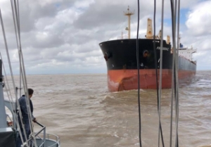 Uruguay Detains Stowaways Who Threatened Bulker Crew