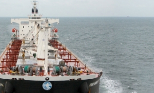 Diana Containerships Hit with Class Action Lawsuit