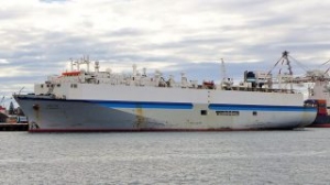 AMSA Strips Livestock Carrier from Permit amid Multiple Defects