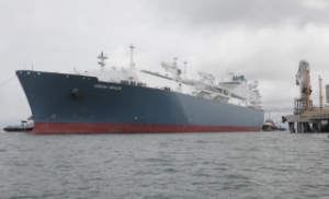 Höegh LNG Partners Takes Remaining Stake in Höegh Grace