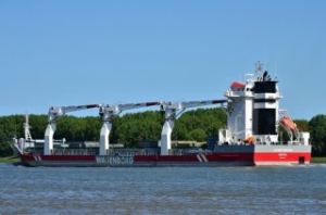 Transport Canada Fines Three Ships for Violating Speed Limit