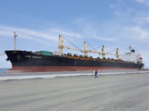 COSCO Shipping Closes Another Dormant Business