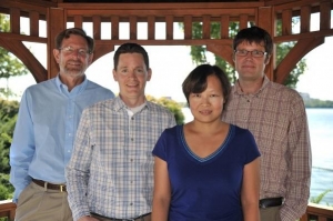 Study: Electrical Properties of Topological Insulators