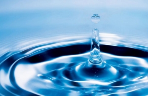 DNVPS Develops Water Quality Monitoring Programme